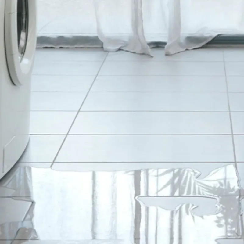 Appliance Leak Cleanup in Key Largo, FL
