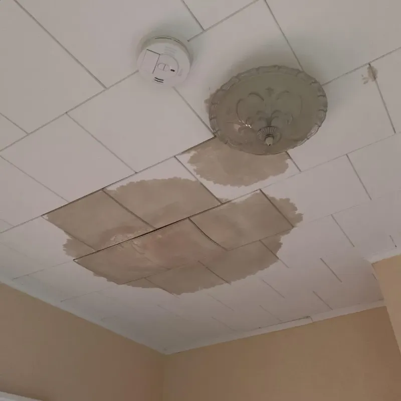 Ceiling Water Damage Repair in Key Largo, FL
