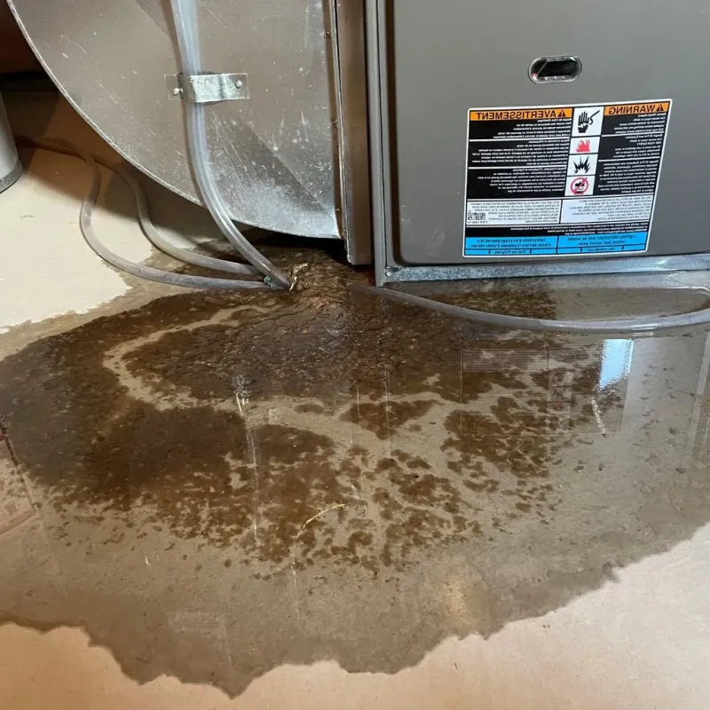 Pipe Burst and Leak Restoration in Key Largo, FL
